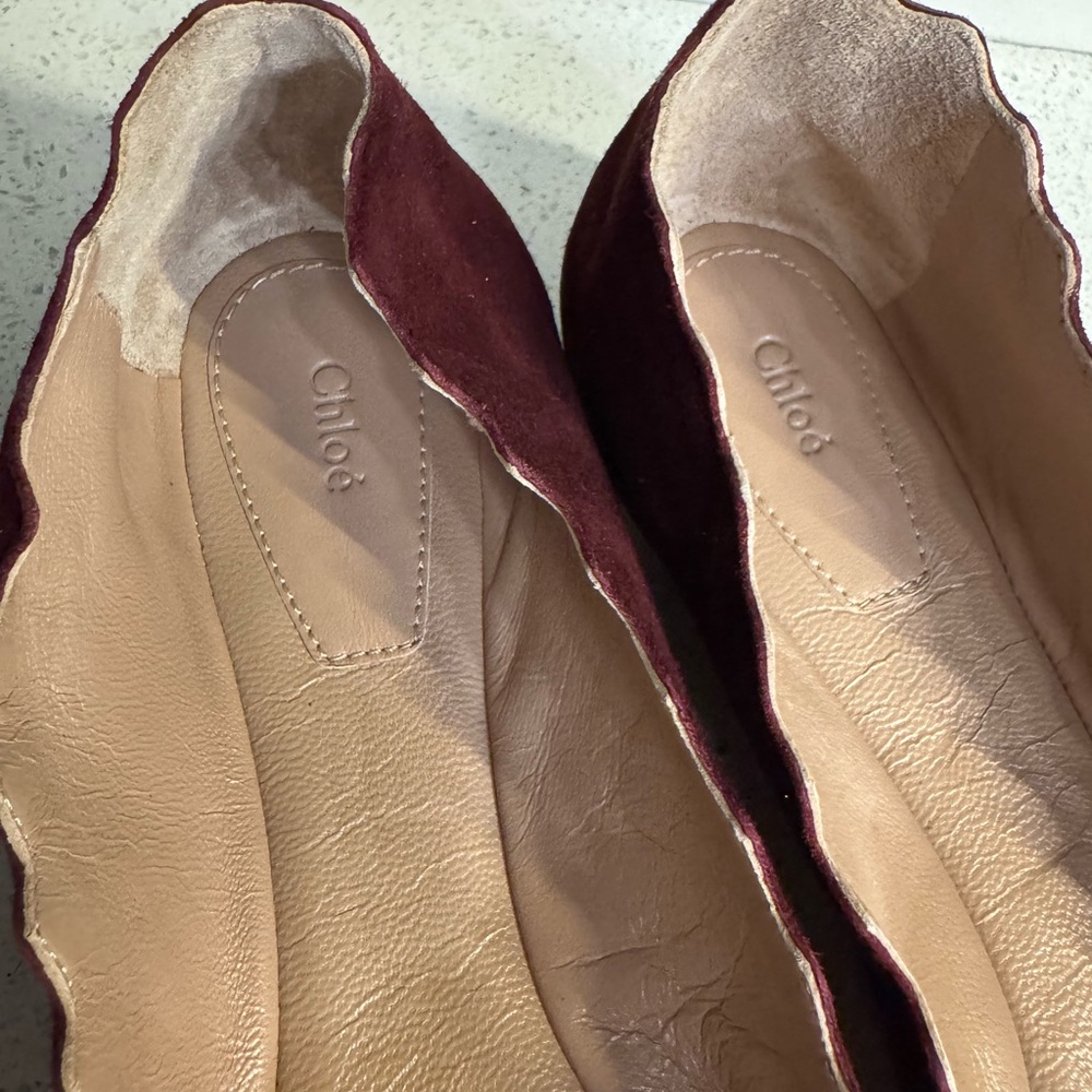 $550 Chloé Suede Scalloped Accent Ballet Flats Dark Red 38.5 NIB - Picture 6 of 8